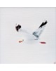 Flight
