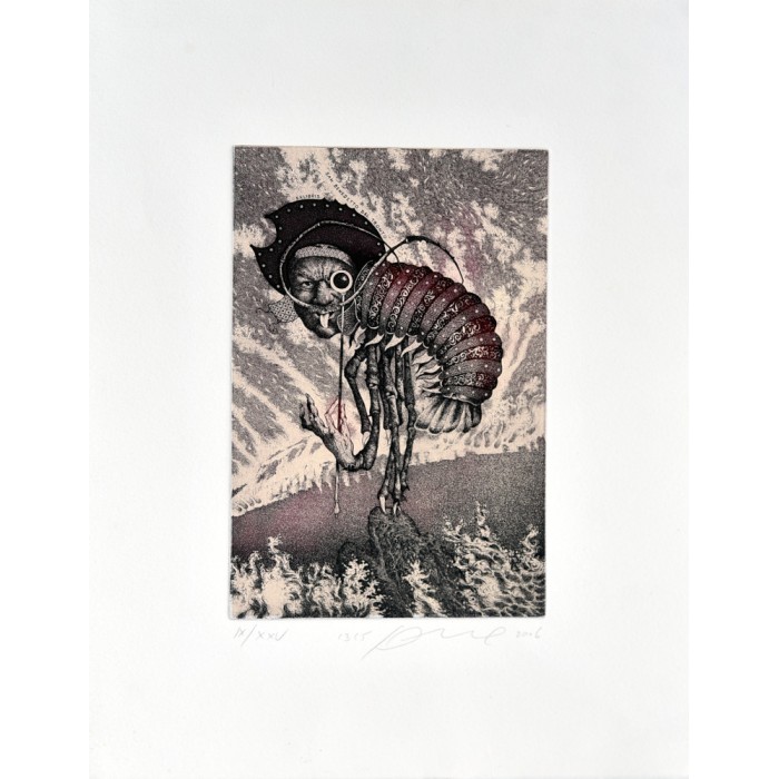 Скарида, 2006 Скарида, 2006