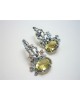 Earrings Earrings