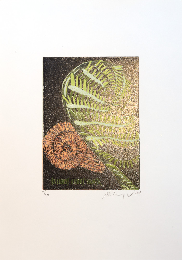 Exl.Lubos Vanek