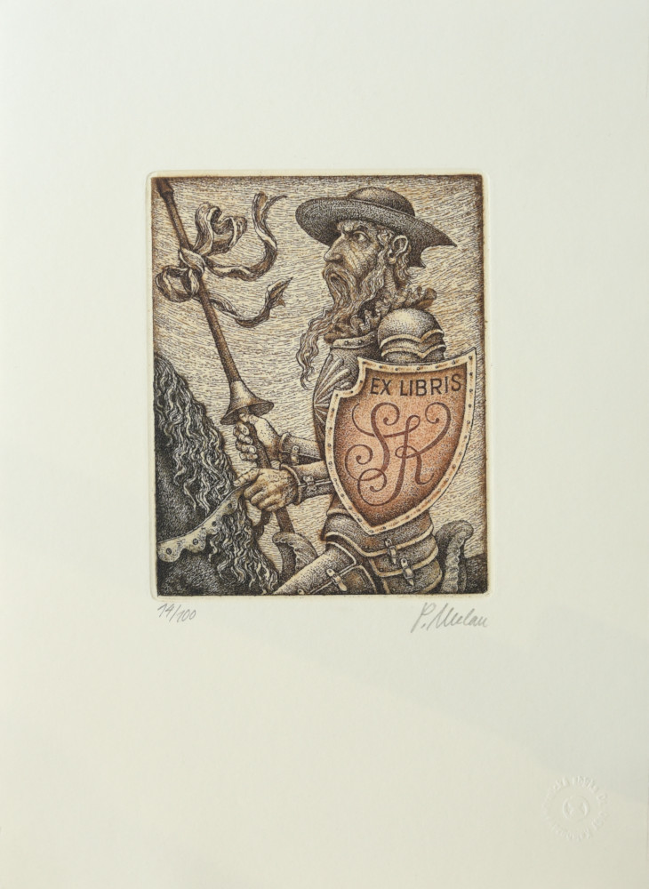 Exl.Don Quixote