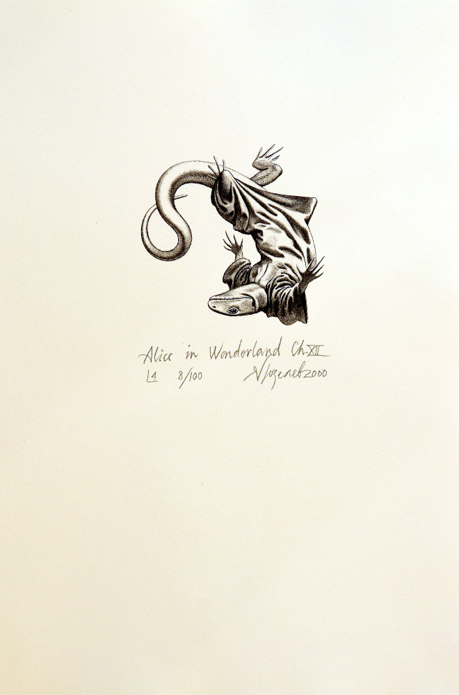 Alice in Wonderland - XII